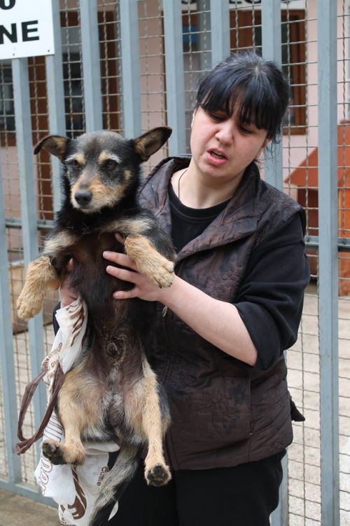 მეტისი უსახელო