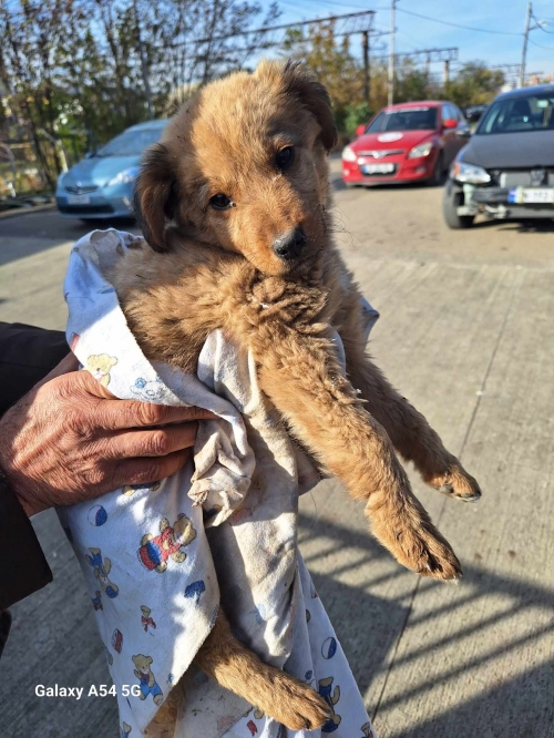 მეტისი ვარკეთილის მასივი მე 2 მკ