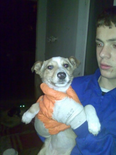 * გაჩუქებულები მაილო