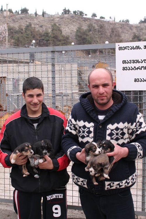 ქართული ქოფაკი უსახელო