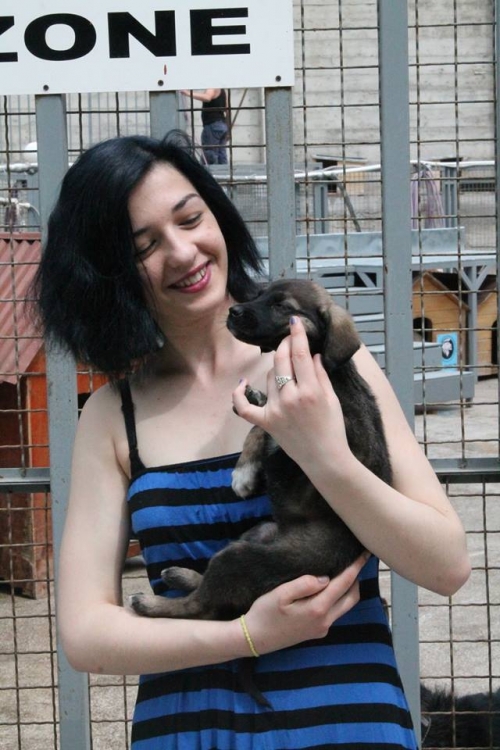 მეტისი უსახელო