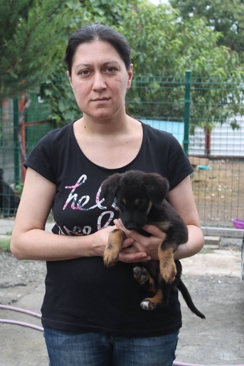 მეტისი უსახელო