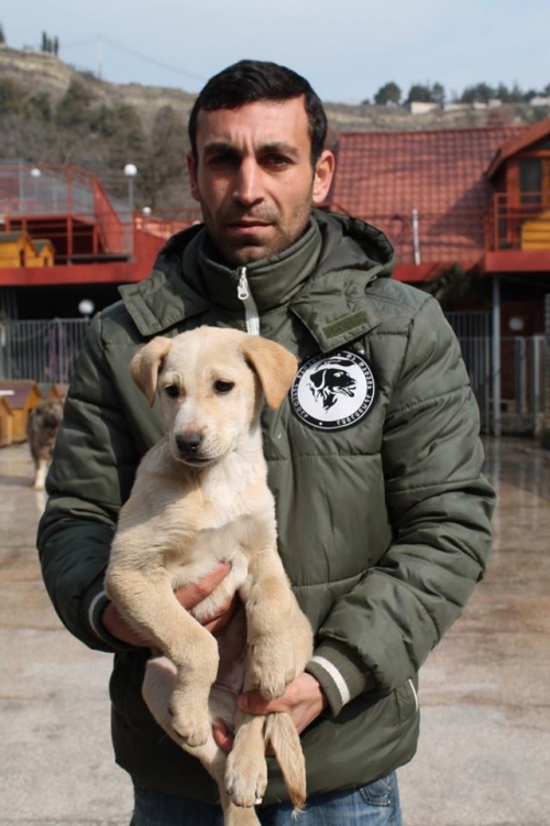 მეტისი უსახელო