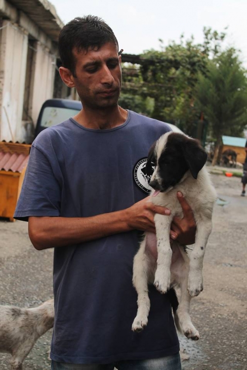 მეტისი უსახელო