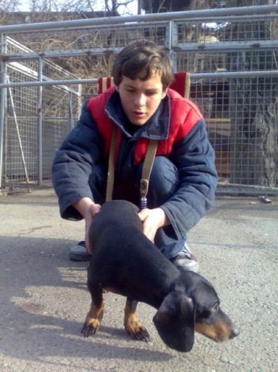 * გაჩუქებულები ჩარლი