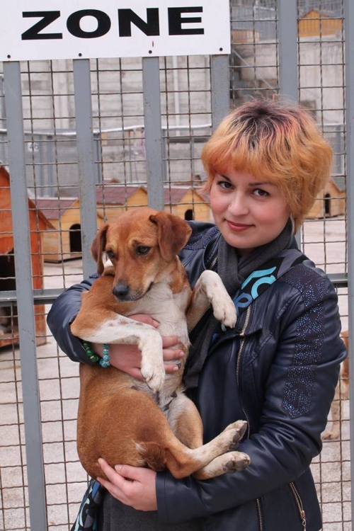 მეტისი ლუსი