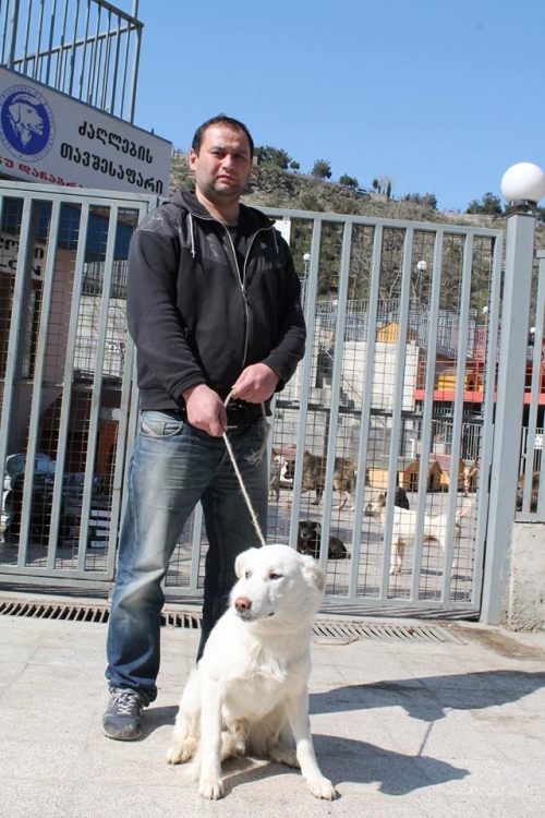 მეტისი უსახელო