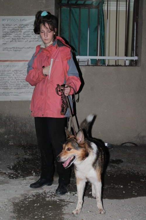 მეტისი სობოლ