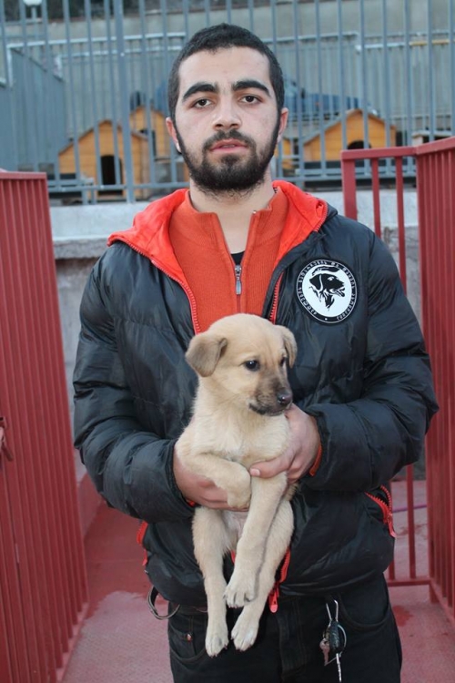 მეტისი უსახელო