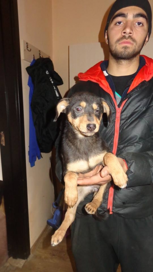 მეტისი უსახელო