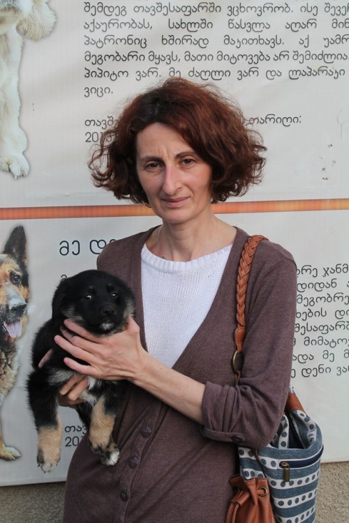 მეტისი უსახელო