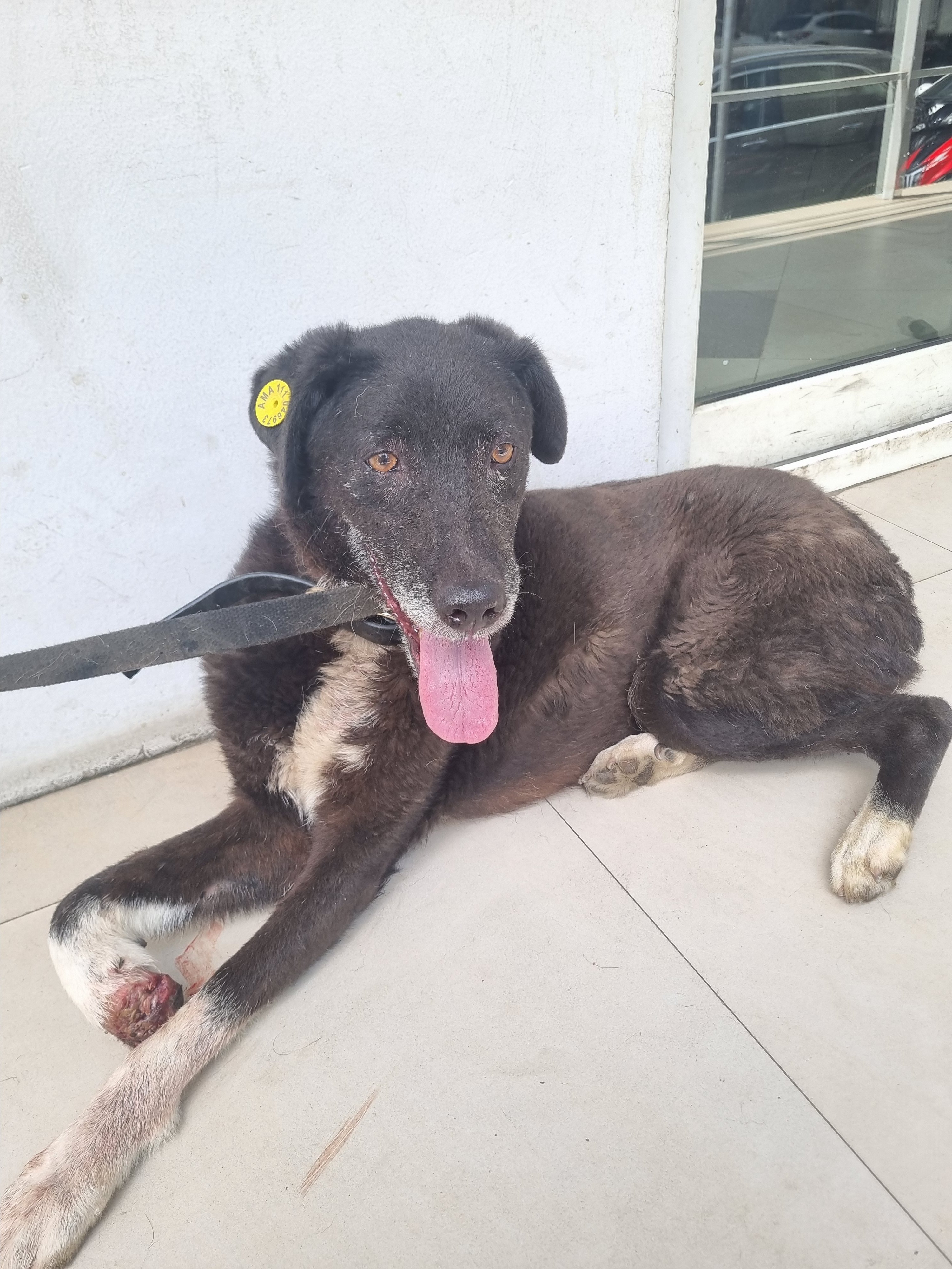 მეტისი. ვარკეთილი მე-3 ა მკრ.