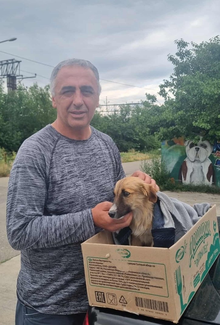 მეტისი. კაჭრეთი