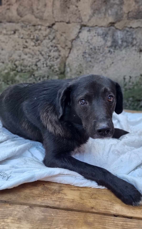 მეტისი გლდანი 8 მიკრორაიონი