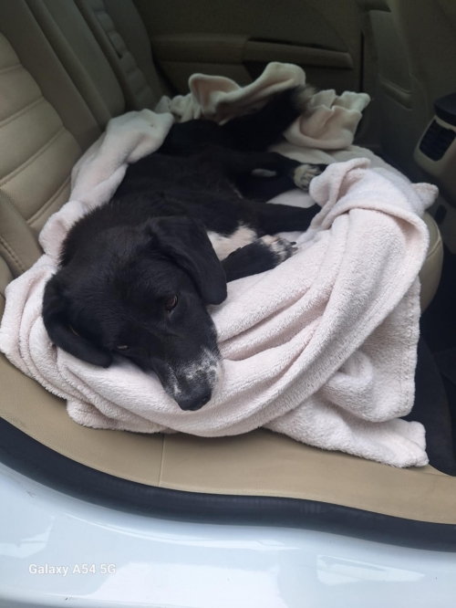 მეტისი ვარკეთილი მე 3 მასივი 1 კვარტალი ა კორპუსი