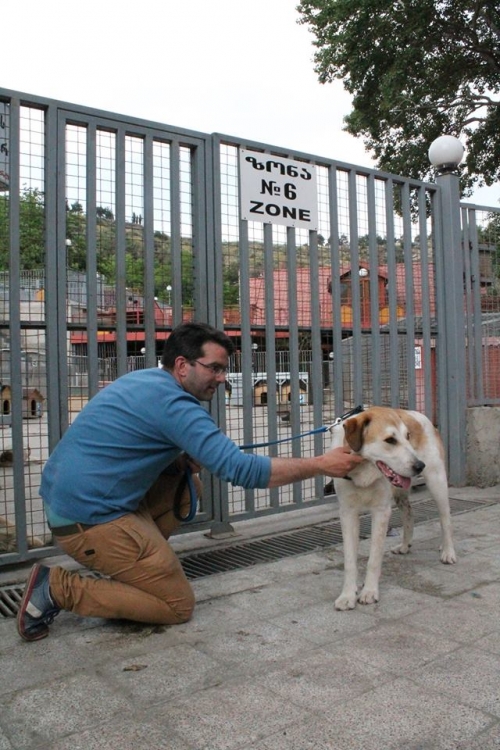 მეტისი ბიჭო