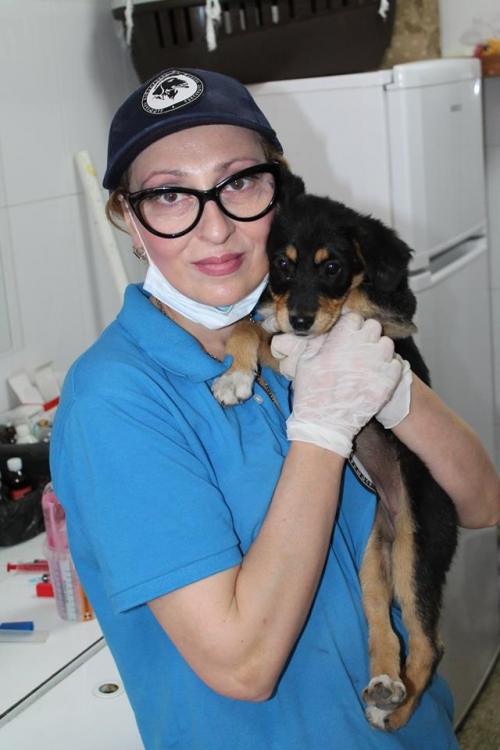 მეტისი უსახელო