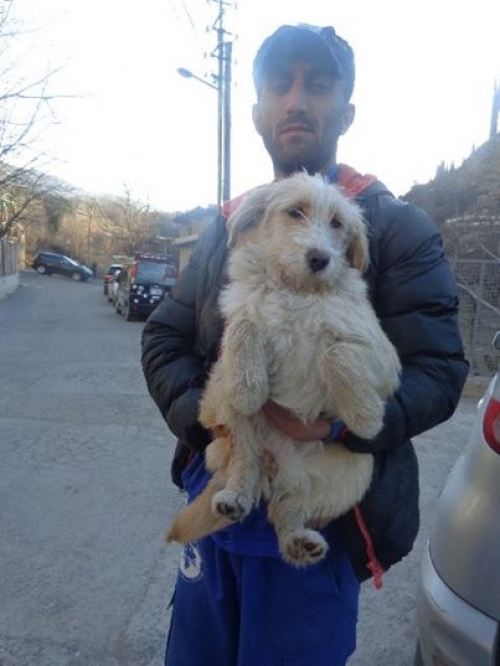 ბალონკა უსახელო