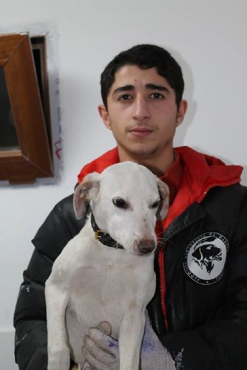 მეტისი უსახელო