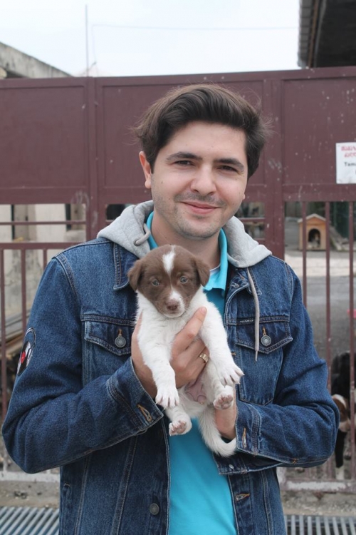 ლაიკის მეტისი უსახელო