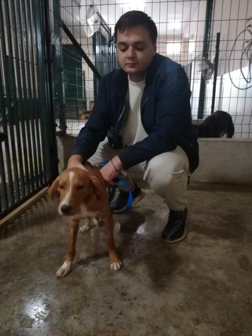 მეტისი ლაქი