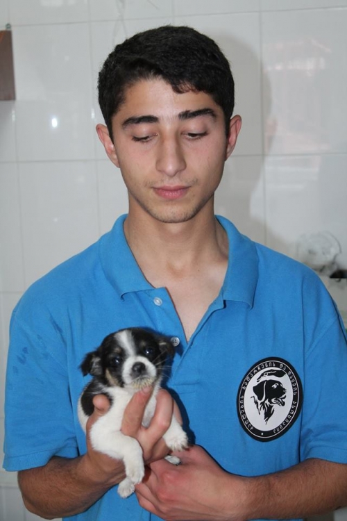 მეტისი უსახელო