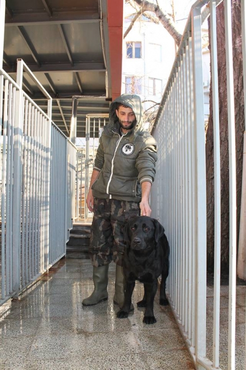 ლაბრადორი უსახელო