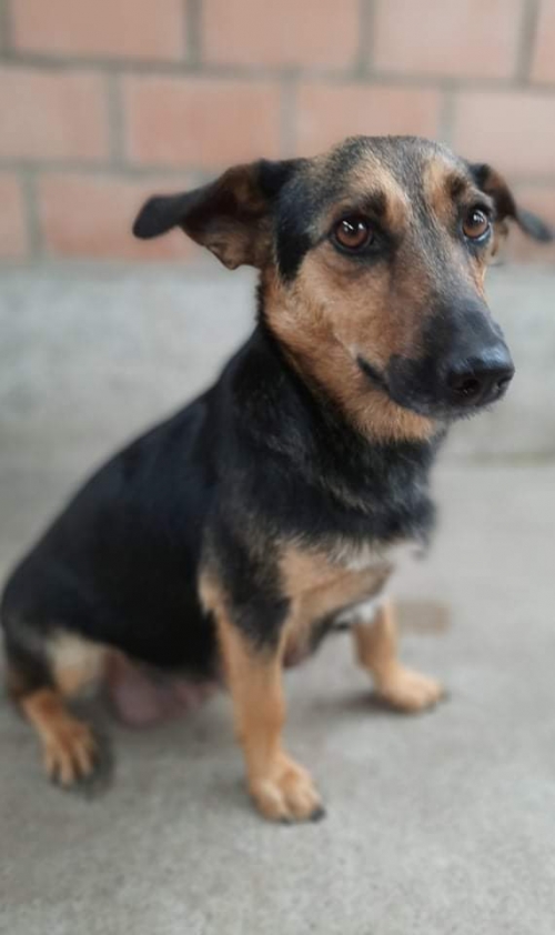 მეტისი ანნა პოლიტკოვსკაიას ქუჩა