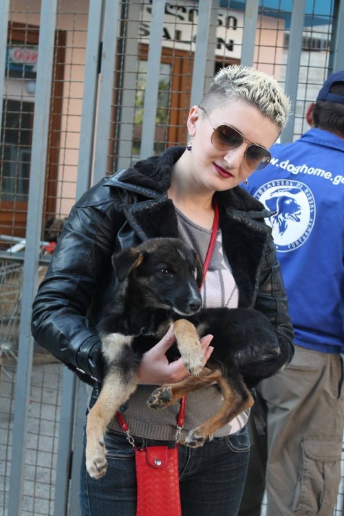 მეტისი უსახელო