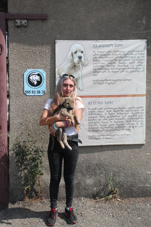 მეტისი უსახელო