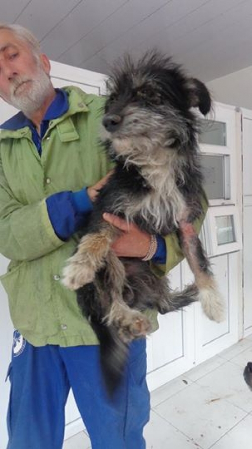 ბალონკა უცნობი