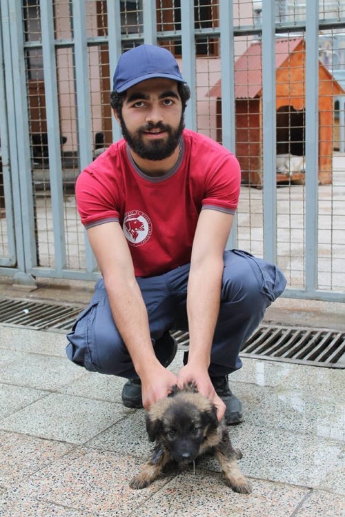 მეტისი უსახელო