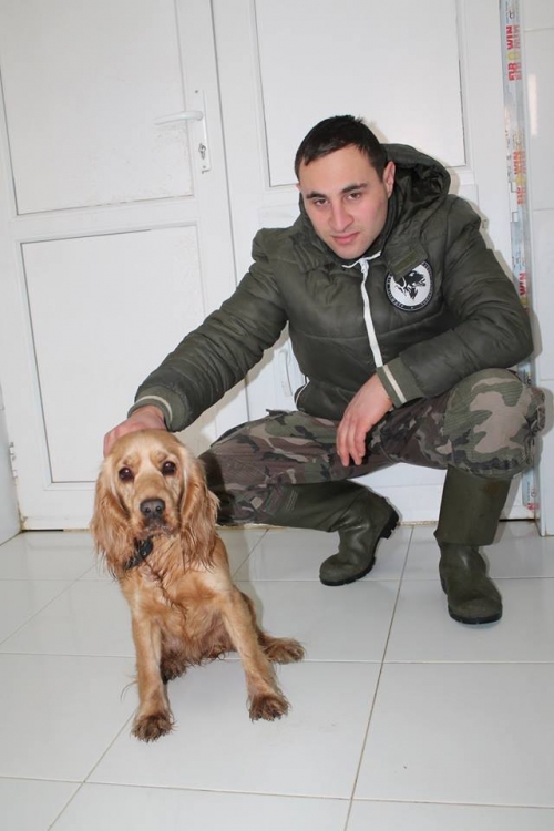 კოკერსპანიელი ბონი