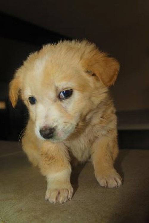 მეტისი უსახელო