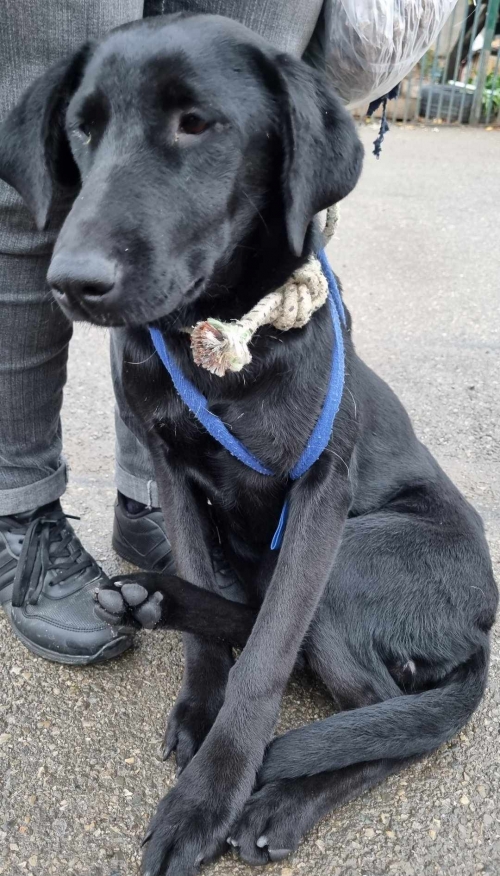 მეტისი სპორტის სასახლე