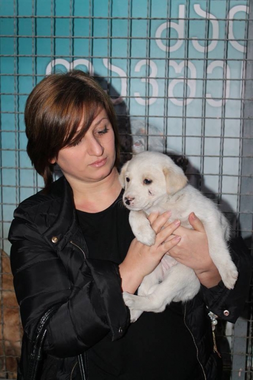 მეტისი უსახელო