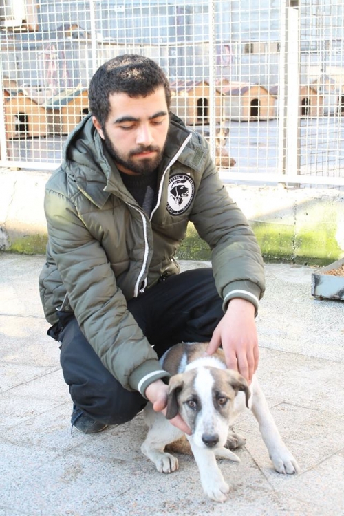 მეტისი უსახელო