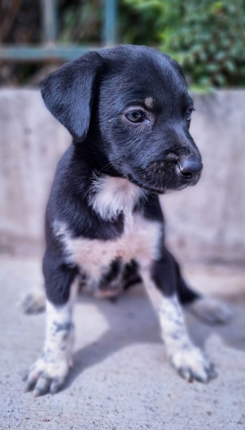 მეტისი ნაპოვნია ავტობანზე