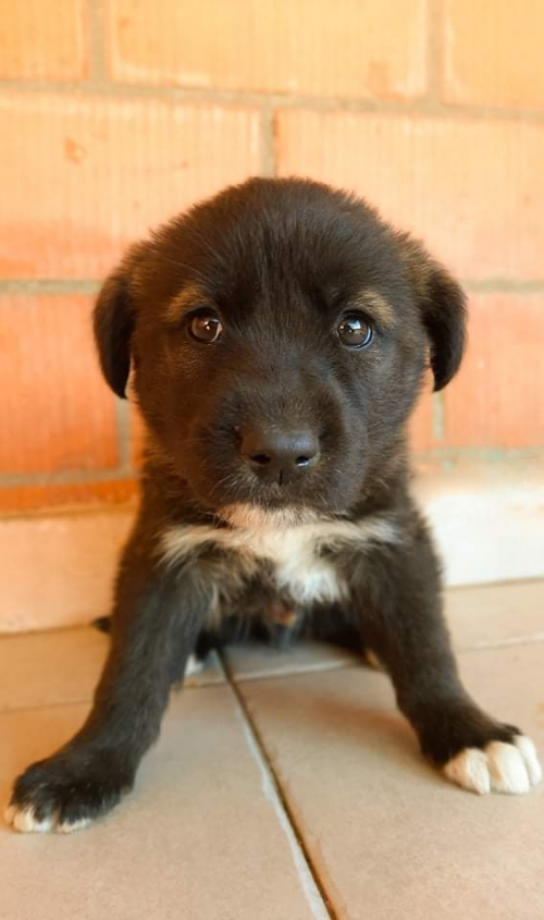 მეტისი ნაპოვნია ავტობანზე