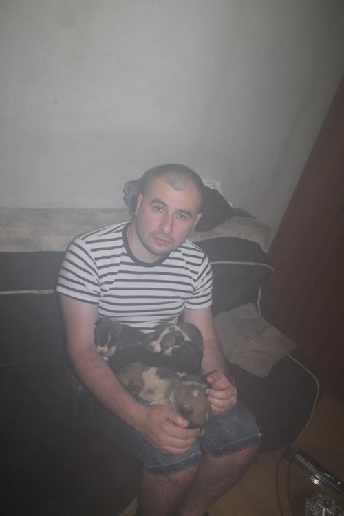 მეტისის ლეკვები უსახელო