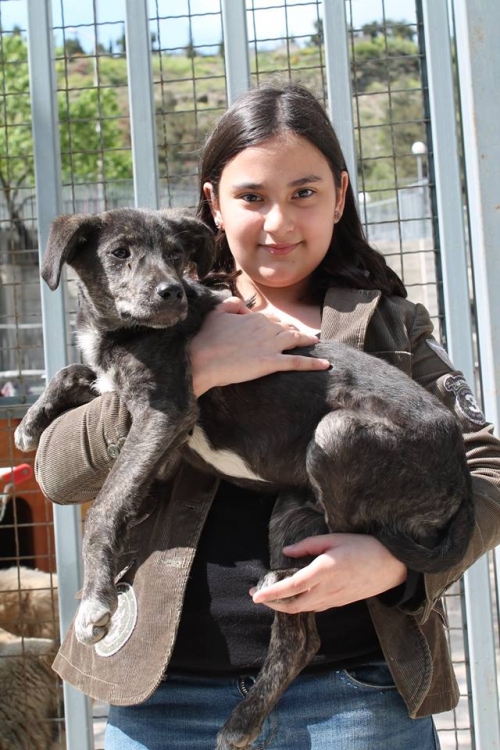 მეტისი უსახელო