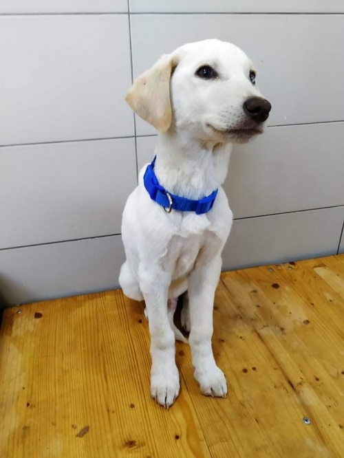 მეტისი ნაპოვნია ყაზბეგზე სითი მოლთან