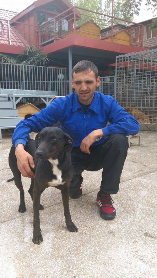 მეტისი ჯეკა