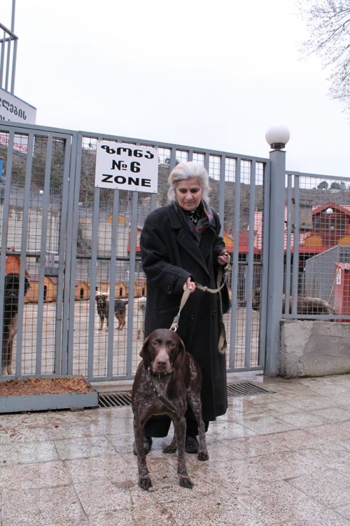 კურცხაარი ბაბილინა