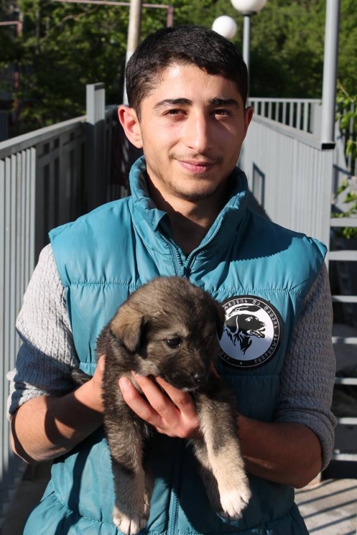 მეტისი უსახელო