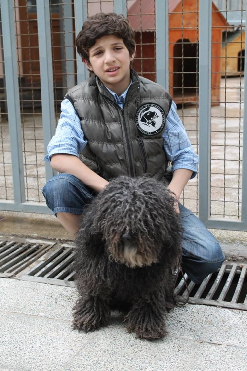 პუდელი უსახელო