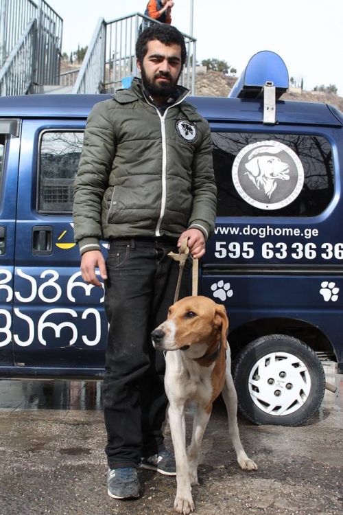 გონჩი უსახელო