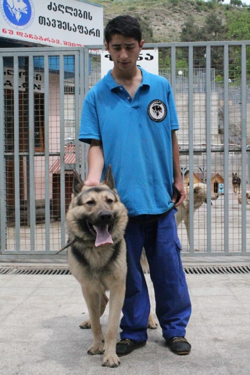 აღმოსავლეთ ევროპული ნაგაზი უსახელო