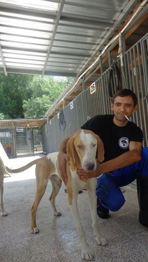 გონჩი პერი