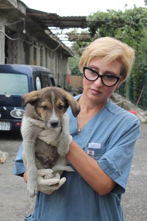 მეტისი უსახელო